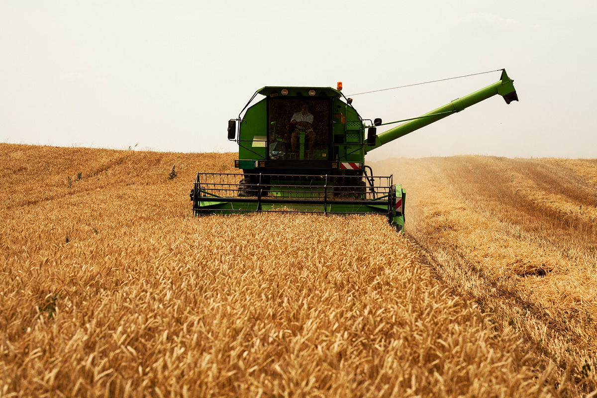 Landwirtschaft